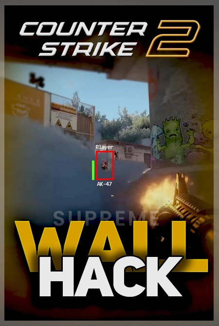 CS2 Wallhack