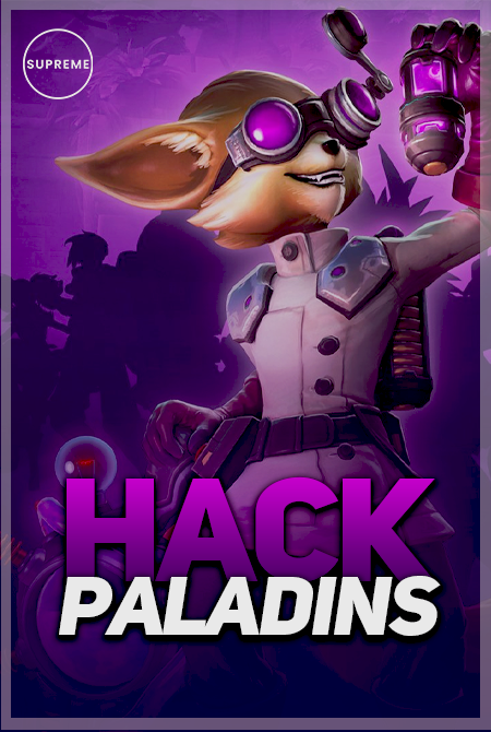 MULTIHACK PALADINS